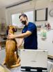 Tier-Untersuchung zum Sonderpreis Kleintierpraxis VETPETCARE Frankfurt
