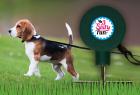 3 Sixty Fun - Outdoorleine Hunde-Langlaufleine Hundeleine Freilaufleine