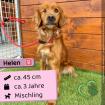 Helen w 3 Jahre 43 cm