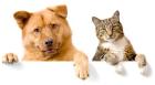 Hundefutter Katzenfutter Tierbedarf kaufen bei Natur4Pets. de