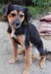 Luna - Die kleine Luna sucht das große Glück