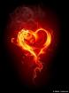 Singlemann sucht