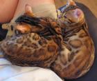 2 junge Bengal Mädchen suchen ein liebevolles zuhause